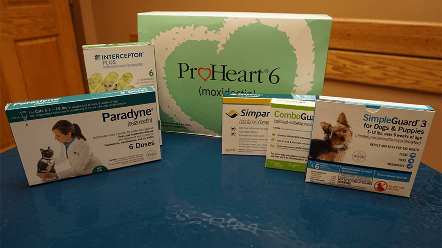 paradyne flea treatment