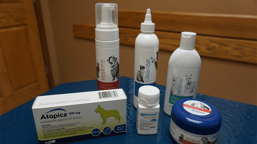 Allergy and Itchy Skin Relief