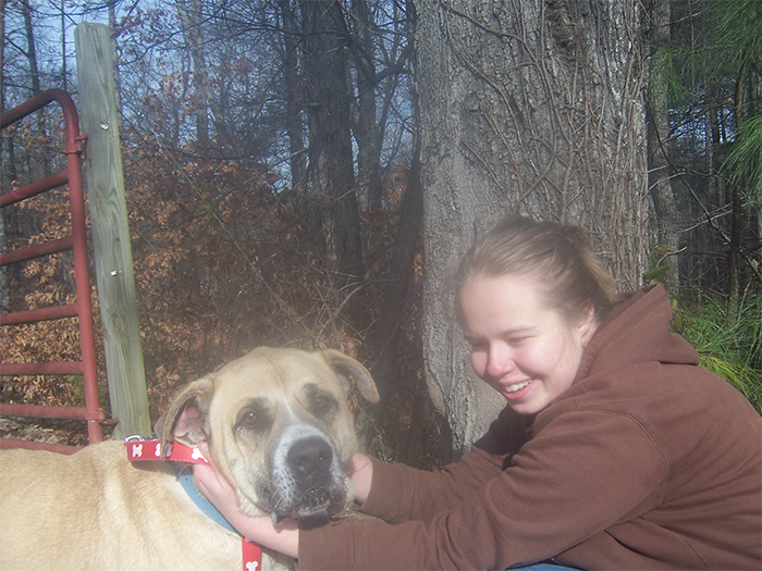 chestatee veterinary hospital