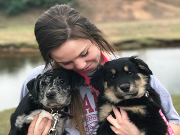 chestatee veterinary hospital