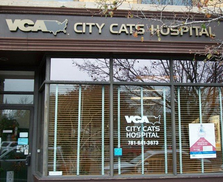 Our Hospital VCA City Cats Hospital