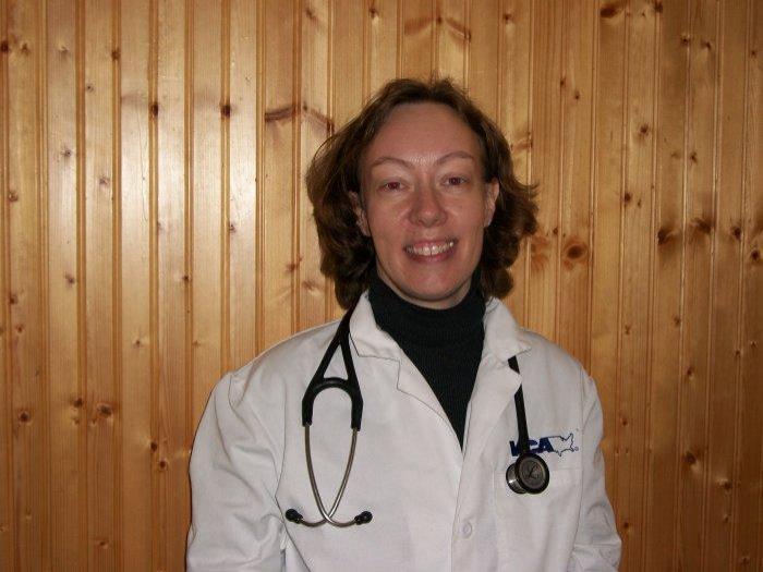 Arlington Vets at VCA City Cats Hospital