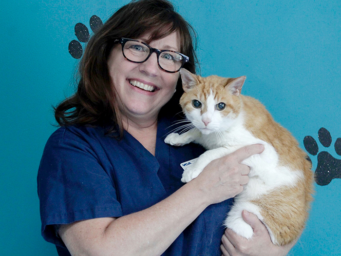Deborah Rasmussen | VCA College Hill Animal Hospital