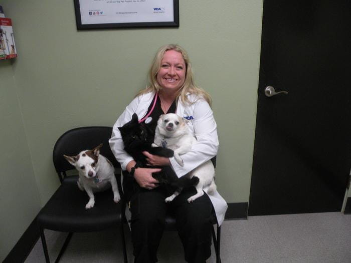 Cypress Vets At Vca College Park Ana Brook Animal Hospital