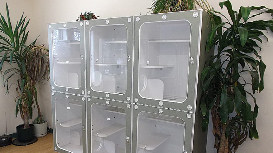 Cat Boarding In Ithaca Ny Vca Colonial Animal Hospital Primary