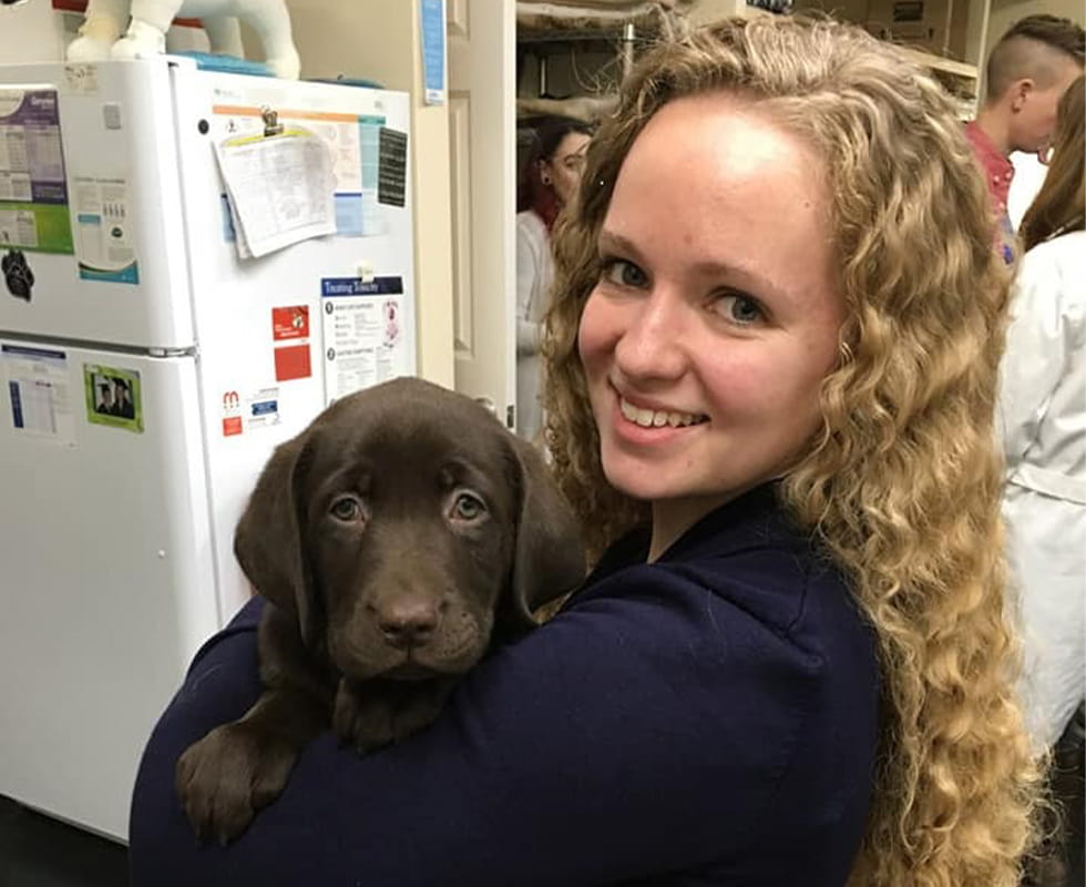 Contact Us Vca Colonial Animal Hospital Primary