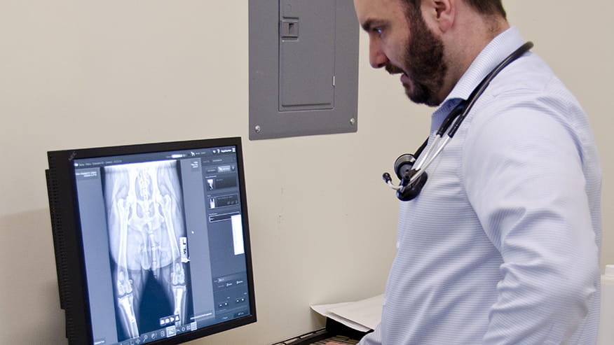 876x493 colonial Services X Ray