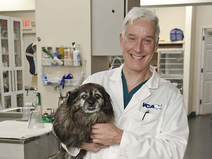 Our Expertise Departments Vca Colonial Animal Hospital