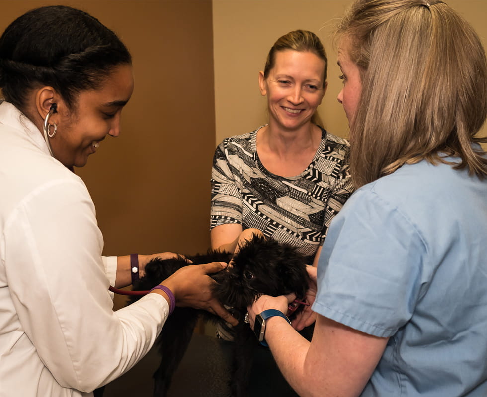 vca columbia at centre park