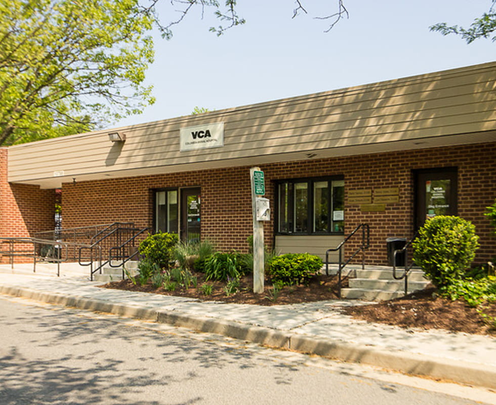 Veterinary Specialty Vca Midwest Animal Hospital Vca Midwest