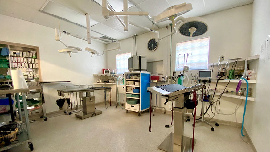 Our Services in Columbia, MD | VCA Columbia Animal ...