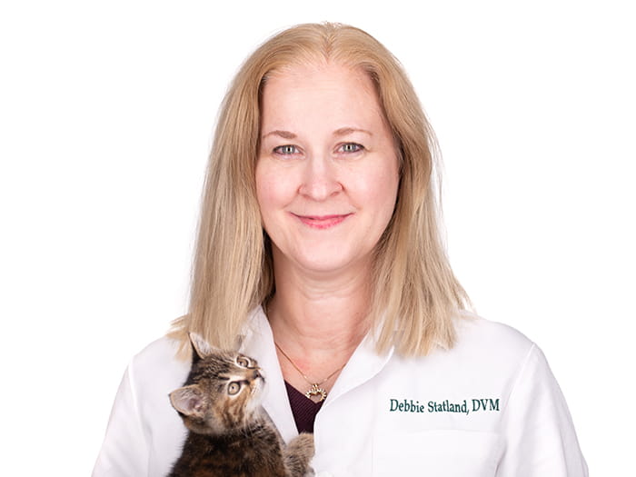 conewago animal hospital