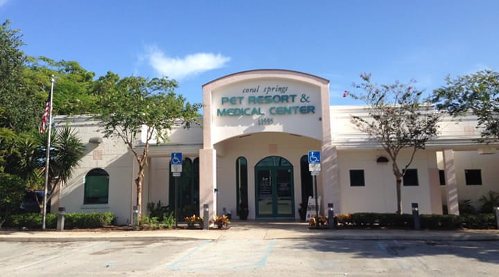 vca medical hospital