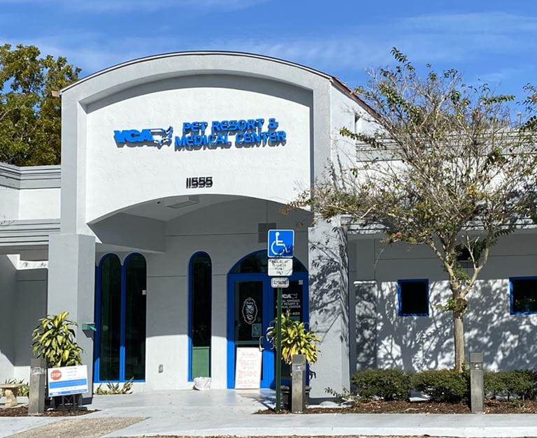 Our Hospital VCA Coral Springs Pet Resort and Medical Center