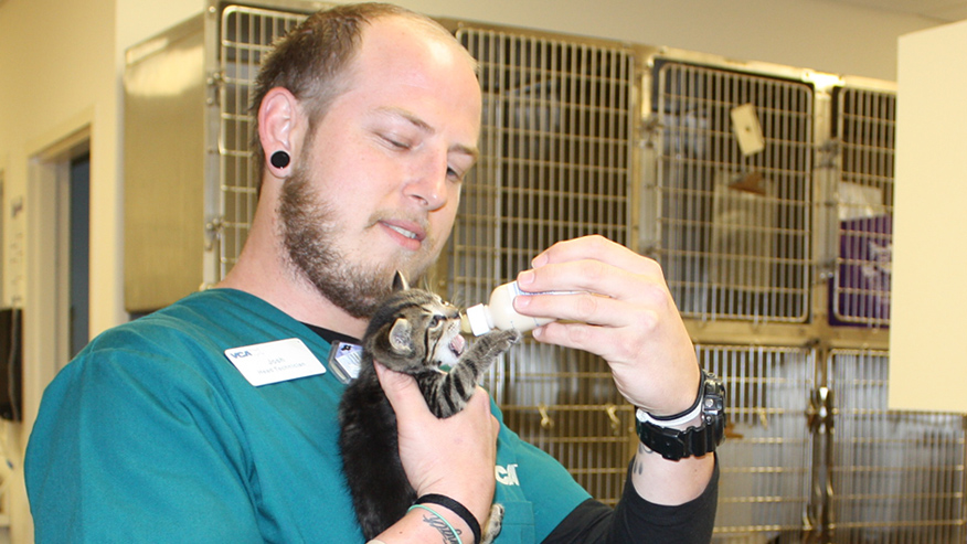 VCA Coral Springs Animal Hospital Preventive Care