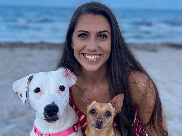 Coral Springs Vets At Vca Coral Springs Pet Resort And Medical Center