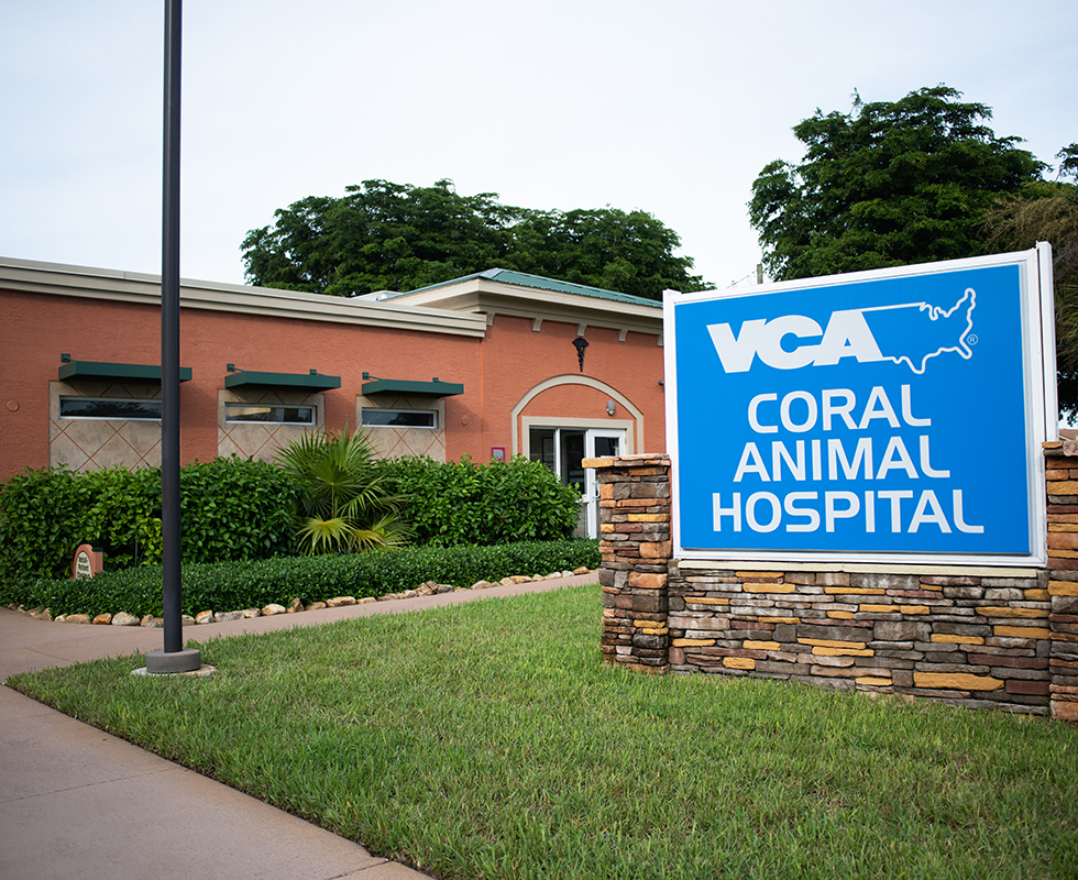 Coral Hospital Photo 2020