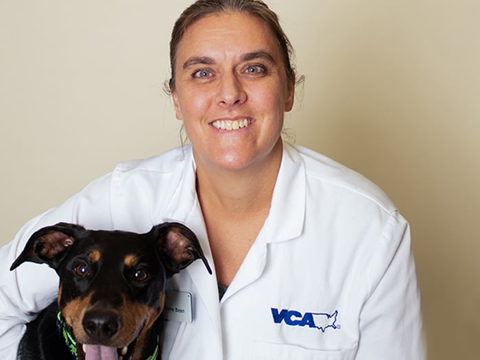Diane Bean | VCA Coral Animal Hospital
