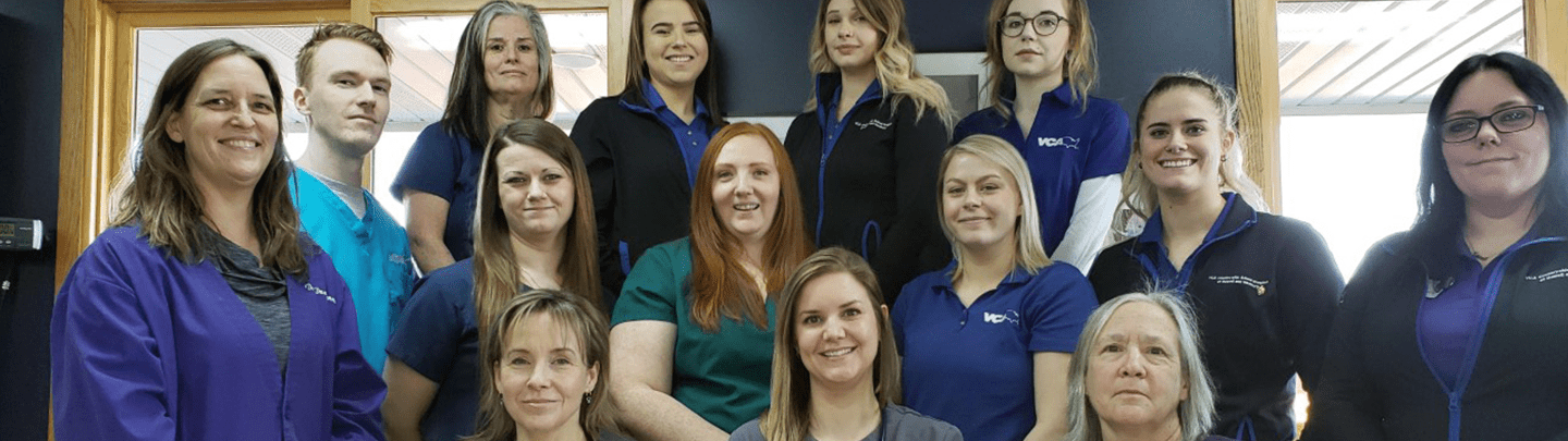 vca countryside animal hospital of hamburg