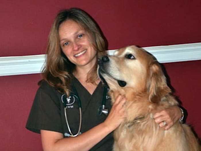 Princeton Vets at VCA County Veterinary Hospital