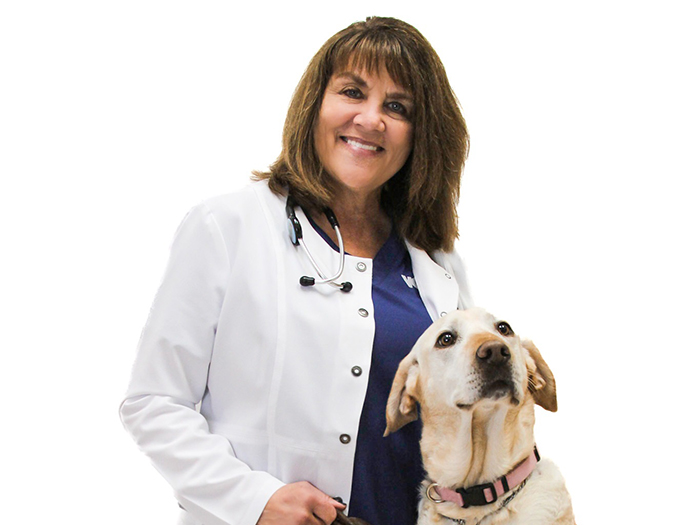 Dr. Stacie Piatt-Vaughn | VCA County West Animal Hospital
