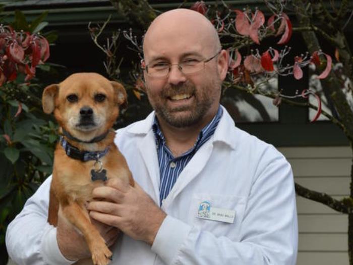 vca covington animal hospital