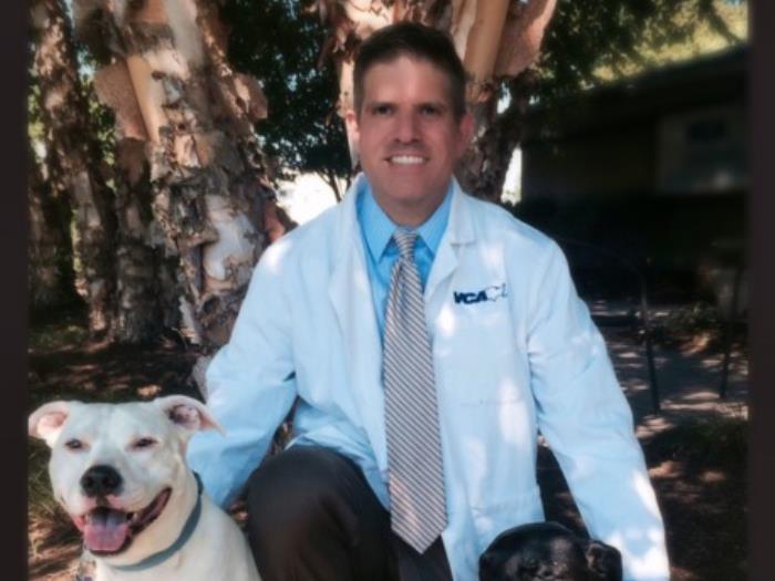 Dan Hurley Vca Cromwell Animal Hospital