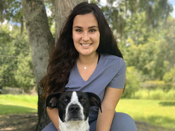 bearss animal hospital