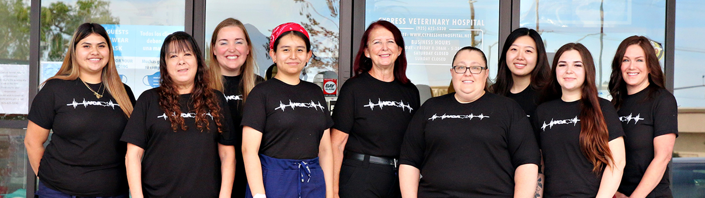 Team Photo of VCA Cypress Animal Hospital