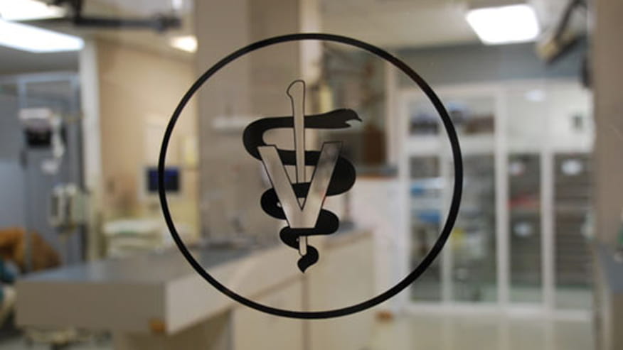 876x493 deer creek littleton intensive criticalcare