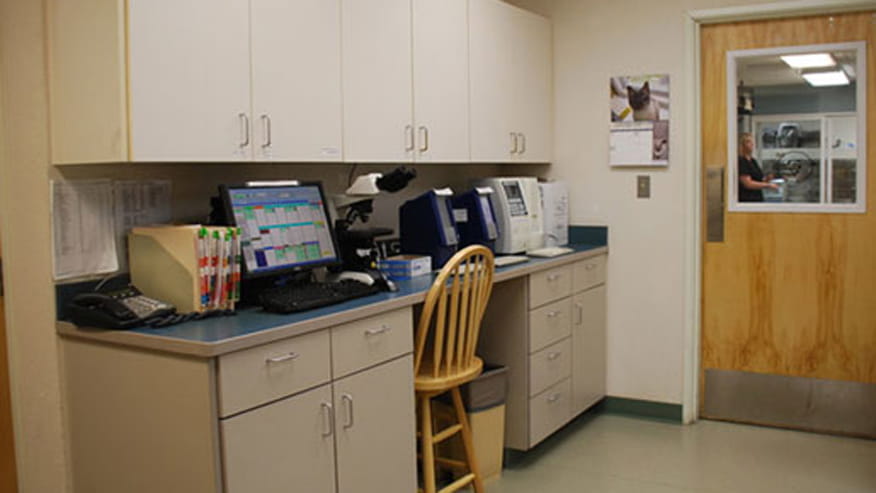 876x493 deer creek littleton lab