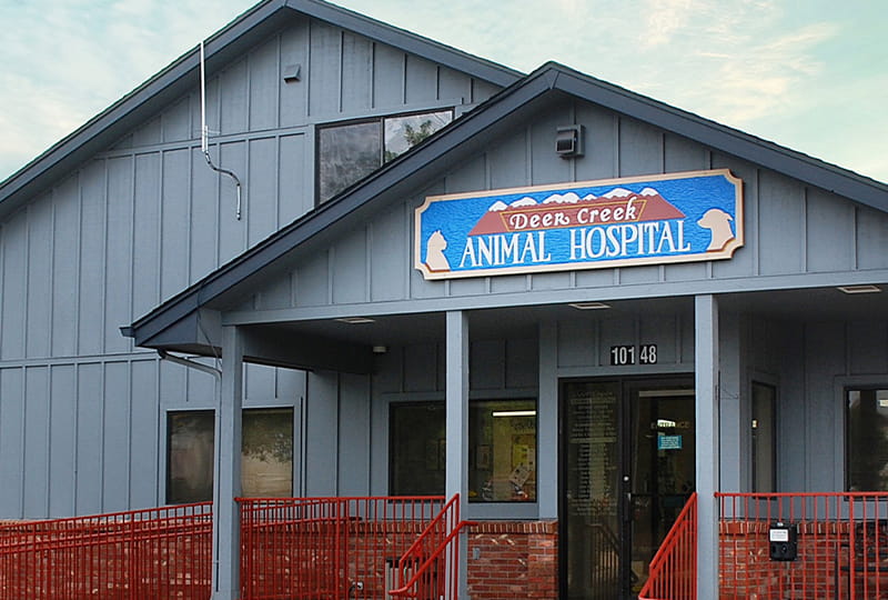 Our Hospital Vca Deer Creek Animal Hospital Primary