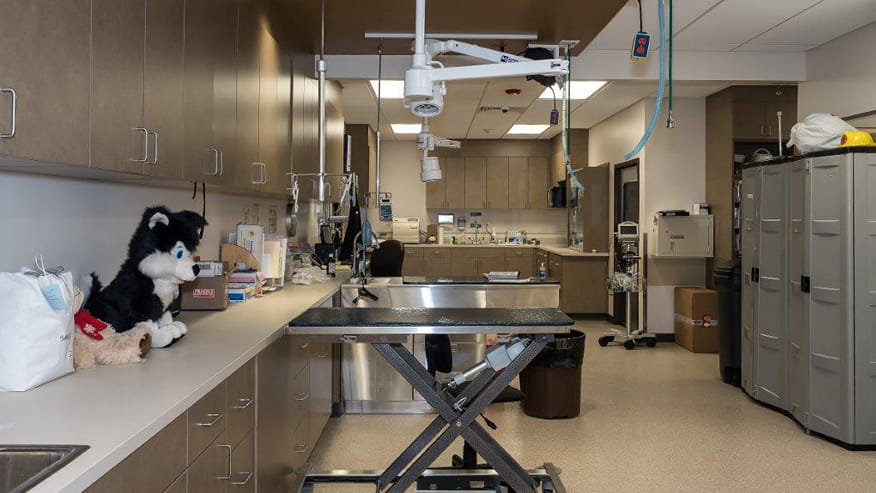 VCA Delaware Valley Surgery