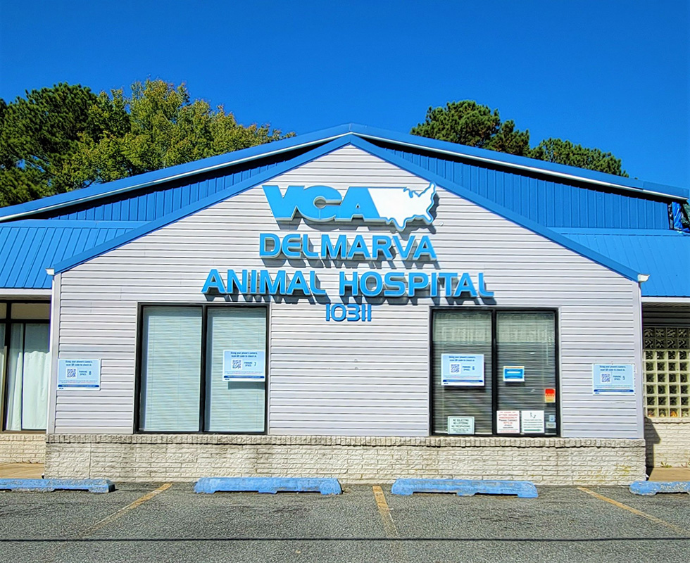 Hospital Picture of VCA Delmarva Animal Hospital