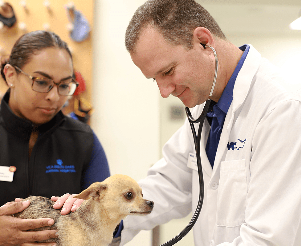 Our Hospital | VCA Delta Oaks Animal Hospital