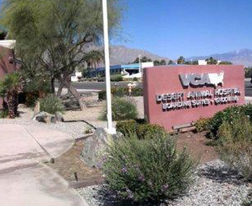 Hospital Picture of  VCA Desert Animal Hospital