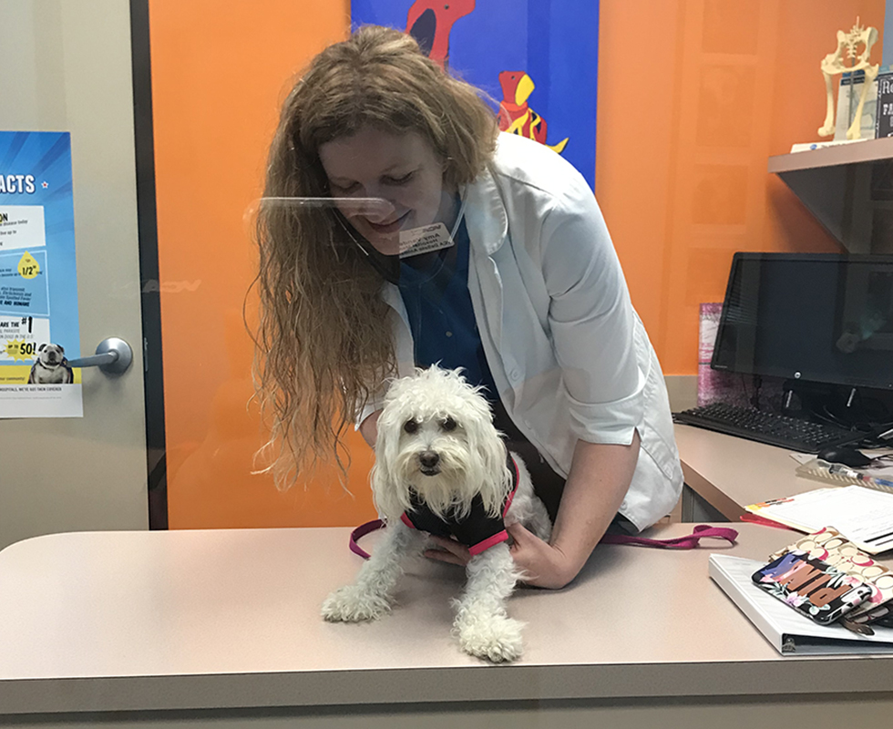 Veterinarian and dog exam at VCA DeSoto Animal Hospital