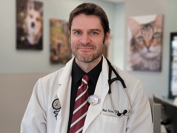 Matthew Perza | VCA Dover Animal Hospital