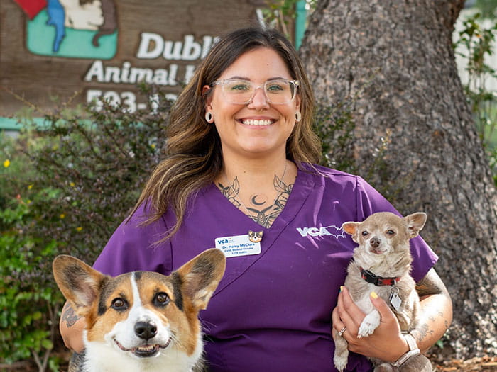 Haley McClure VCA Dublin Animal Hospital