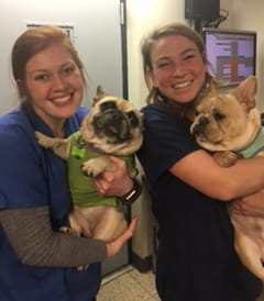 dudley avenue animal hospital