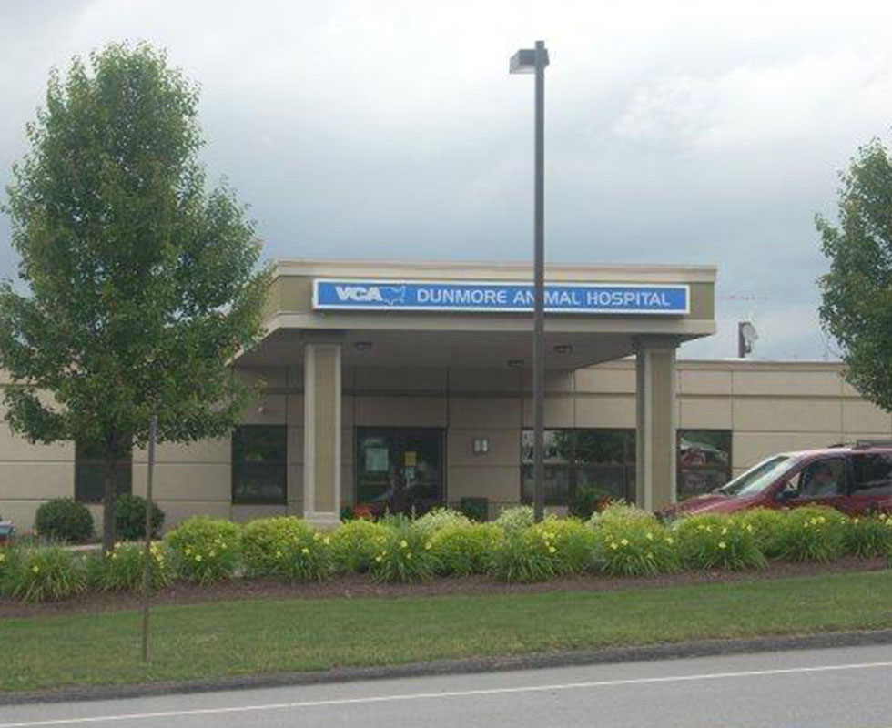 Hospital Picture of VCA Dunmore Animal Hospital