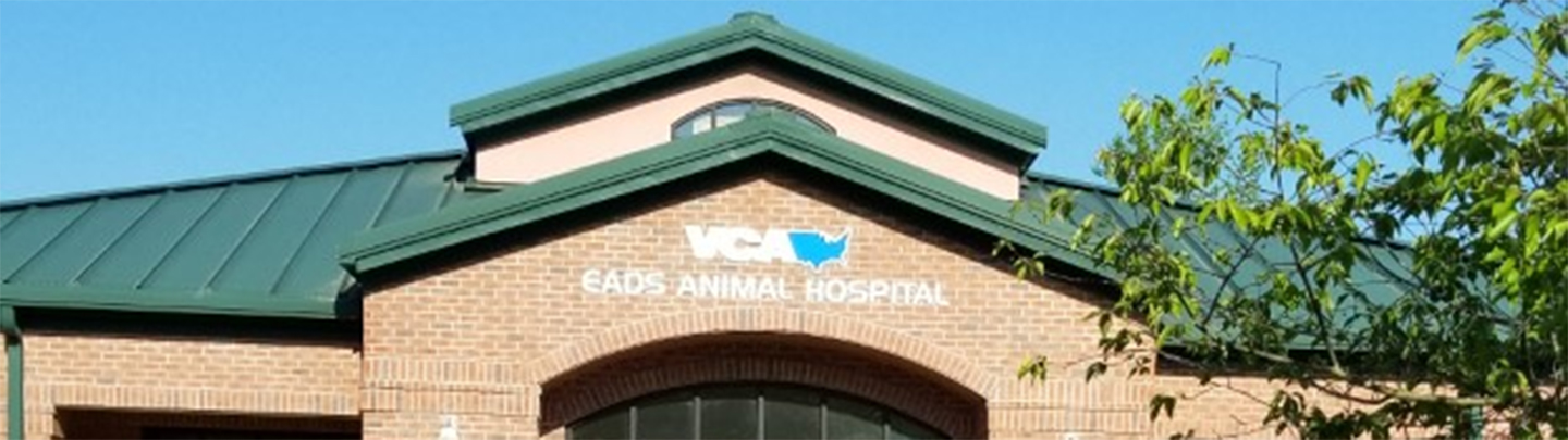 VCA Eads Animal Hospital