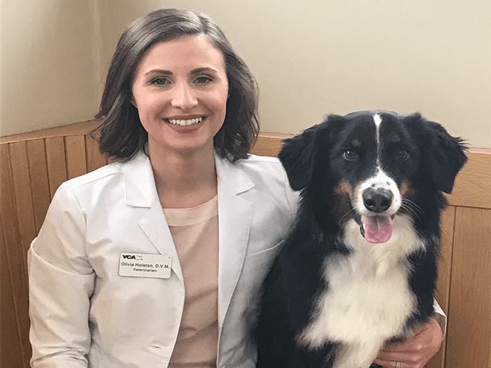 East Hartford Vets at VCA Animal Hospital of East Hartford