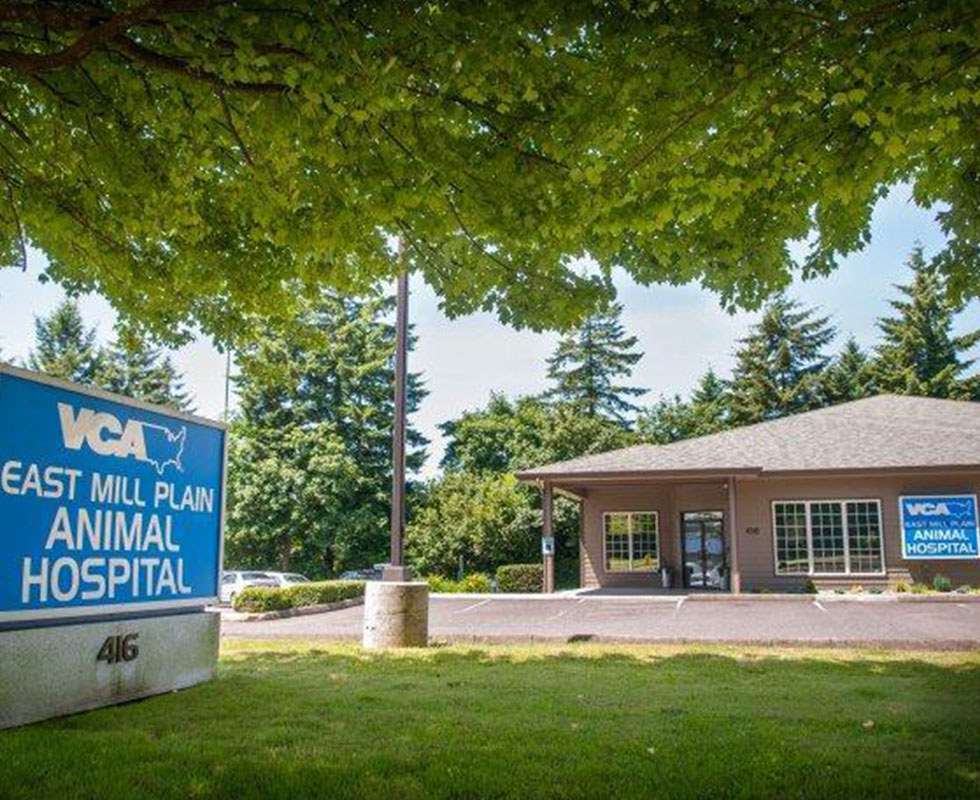 Hospital Picture of VCA East Mill Plain Animal Hospital
