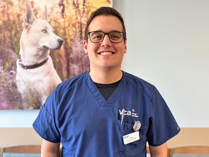 Staff Image