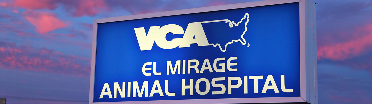 VCA El Mirage Animal Hospital