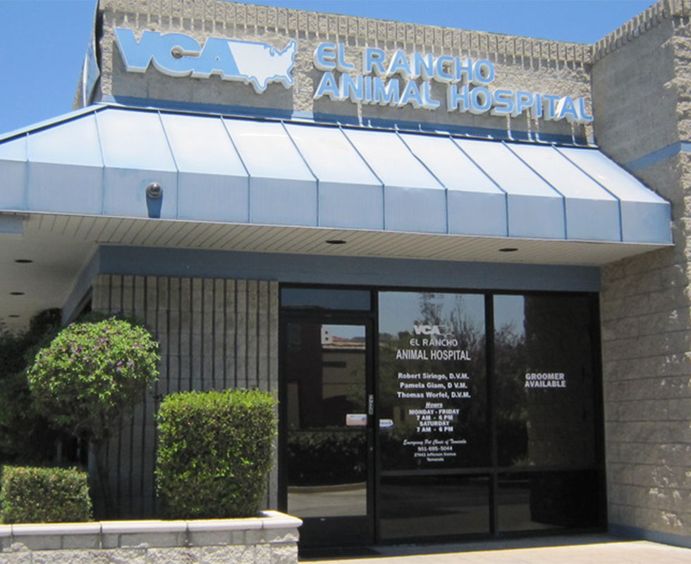 Hospital Picture of VCA El Rancho Animal Hospital