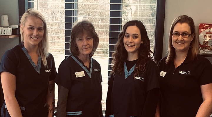 Veterinarians in Elkton, MD | VCA Elkton Animal Hospital