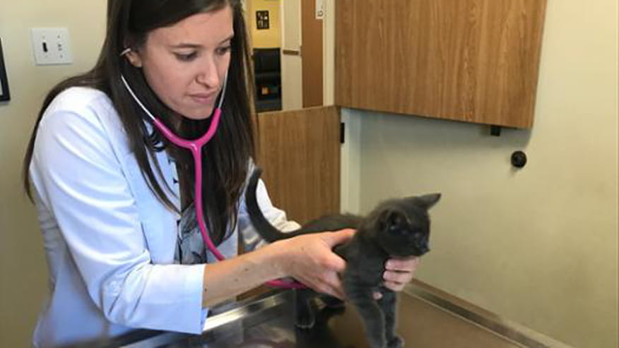 876x493 encina health exams