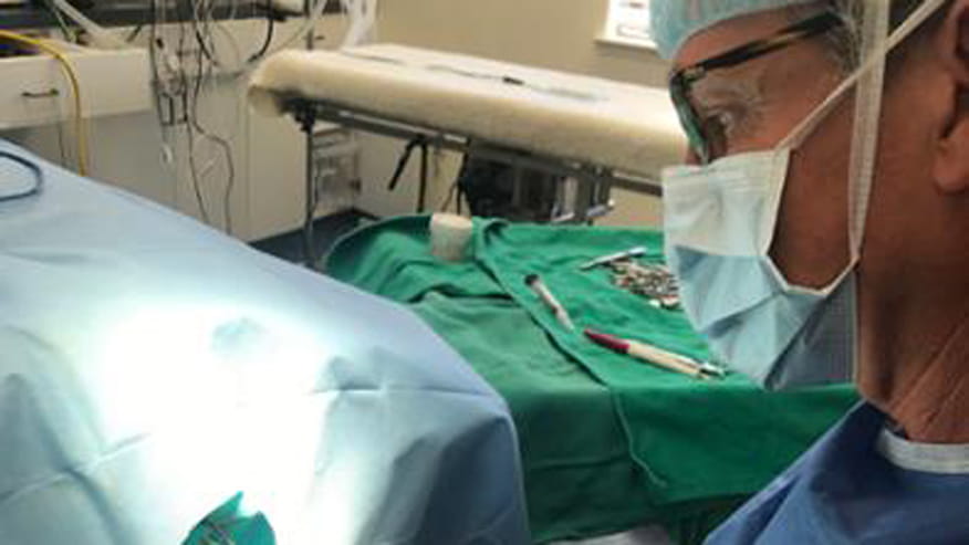 876x493 encina routine surgeries